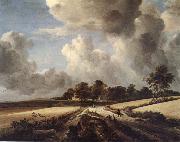 RUISDAEL, Jacob Isaackszon van Wheatfields oil painting artist